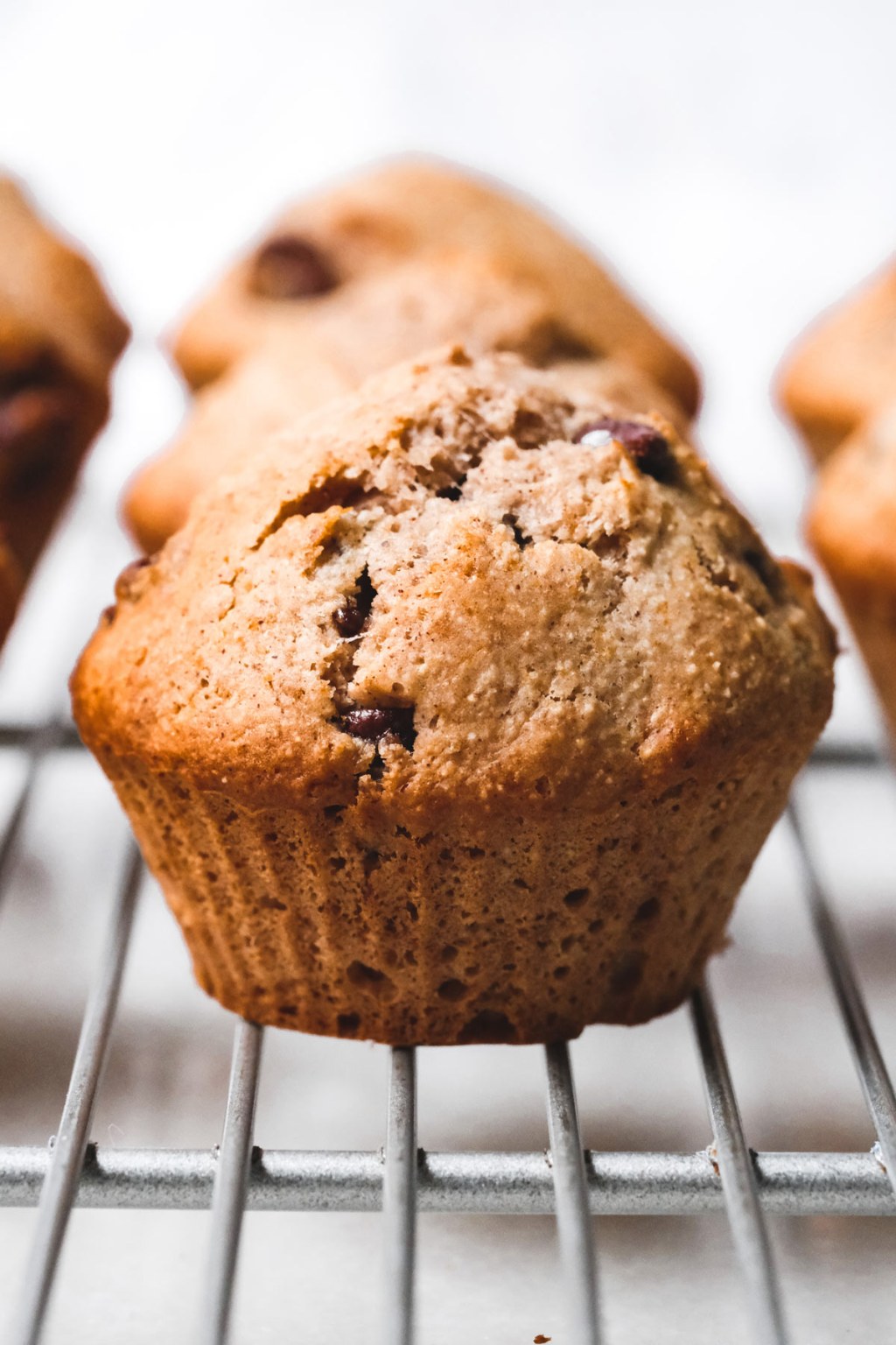Picture of: Sourdough Discard Chocolate Chip Muffins